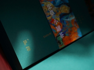 薩物冬蟲(chóng)夏草臧香禮盒